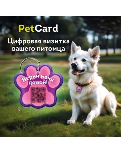 Адресник для собак и кошек с QR кодом и NFC розовый 36х33 мм Petcard