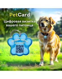 Адресник для собак и кошек с QR кодом и NFC голубой 36х33 мм Petcard