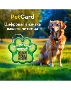 Адресник для собак и кошек с QR кодом и NFC зелёный 36х32 мм Petcard