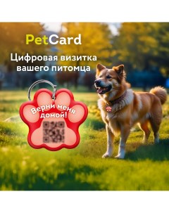 Адресник для собак и кошек с QR кодом и NFC красный 36х33 мм Petcard