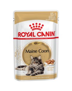 Влажный корм для кошек Maine Coon Adult кусочки в соусе мясо 24 шт по 85 г Royal canin