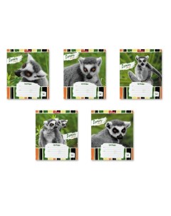 Тетрадь 18 л в линейку Lemur Style обложка мелованный картон блок офсет МИКС Erich krause