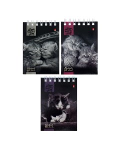 Блокнот А7 40 листов на гребне Кошачий Взгляд обложка мелованный картон МИКС Альт