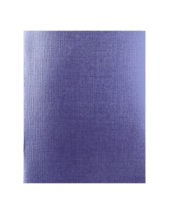 Тетрадь 48 листов в линейку METALLIC Фиолетовая обложка бумвинил блок офсет Hatber