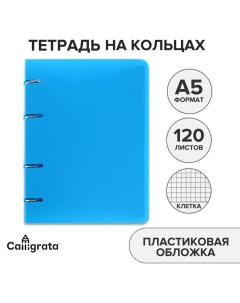 Тетрадь на кольцах a5 120 листов в клетку голубая пластиковая обложка блок офсет Calligrata