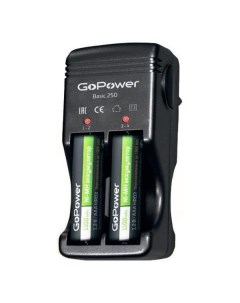 Зарядное устройство для аккумуляторной батареи GoPower Basic 250 Basic 250 Gopower