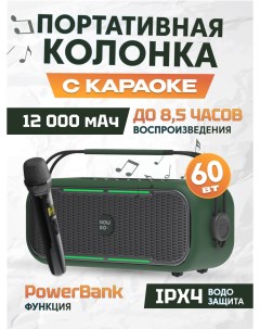Портативная колонка С2K Karaoke Military Nowgo