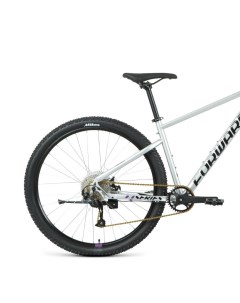 Велосипед горный 29 Sporting 29 XX disc 2021 года рама 17 серебристо фиолетовый Forward