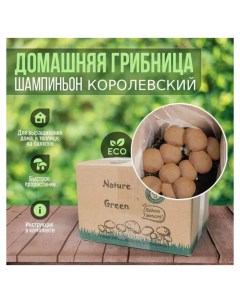 Набор для выращивания грибница шампиньонов Naturegreen
