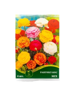 Ранункулюкс Mix 4 шт в ассортименте цветы по наличию Петрофлора