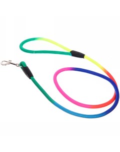 Поводок для собак разноцветный нейлонов 1 2 м Ultramarine