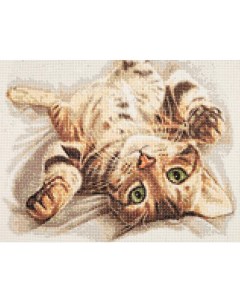 Алмазная мозаика Бенгальский котенок Мария Сергеева 40 30 см Cristyle