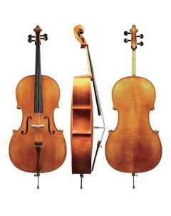 Акустические виолончели Concert cello Georg Walther Gewa