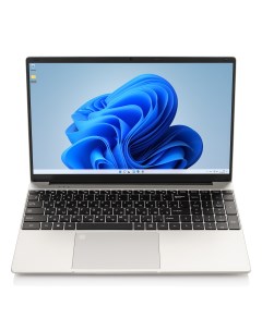 Ноутбук N156 Silver Зебра