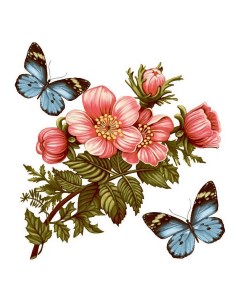 Бумажные салфетки Цветы и бабочка сервировочные 24 x 24 см 50 шт Гармония цвета