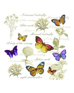 Бумажные салфетки Бабочки сервировочные 24 x 24 см 50 шт Гармония цвета