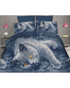 Комплект постельного белья Поплин 1 5 спальный Кошки Love
