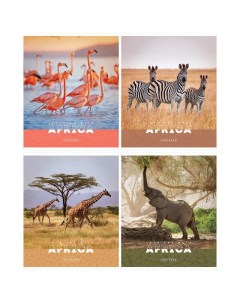 Тетрадь Животные Nature of Africa 311916 96 листов А5 клетка 10 шт Artspace
