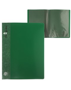 Папка с 10 вкладышами а4 500 мкм карман на корешке зеленая Calligrata