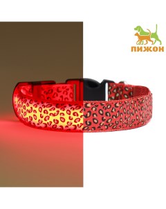 Ошейник с подсветкой леопард 3 режима свечения размер s ош 22 40 х 2 5 см красный Пижон