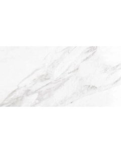 Плитка Carrara White Shine RC 30x60 Argenta