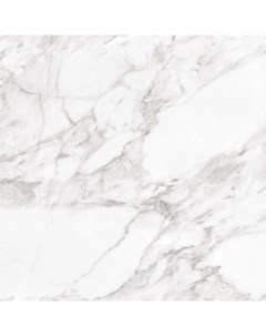 Керамогранит Carrara White Shine RC 60x60 Argenta