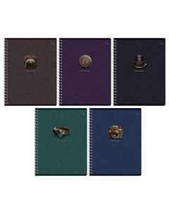 Тетрадь на гребне Стимпанк, А5, 96л, в ассортименте Bg