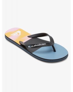 Мужские сланцы Molokai Quiksilver