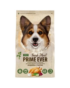 Сухой корм для собак Fresh Meat Adult Dog Medium Maxi индейка с рисом 2 8 кг Prime ever
