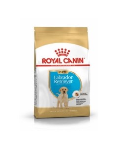 Labrador Retriver Puppy Корм сух д щенков породы лабрадор ретривер 3кг Royal canin