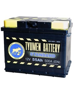 Автомобильный аккумулятор Standard 55 Ач прямая полярность L2 Tyumen battery