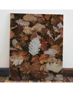 Картина Осенние листья40x60 Red panda