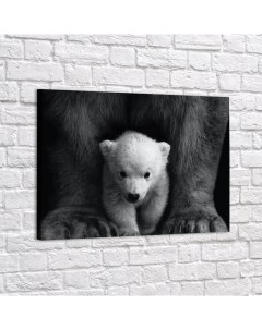 Картина Медвежонок p5379440х60 Red panda