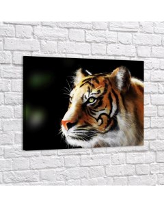 Картина Тигр Арт p5361340х60 Red panda