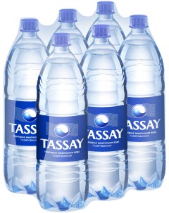 Минеральная вода газированная ПЭТ 6 шт по 1 5 л Tassay