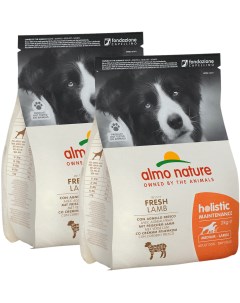 Сухой корм для собак для средних пород ягненок 2 шт по 2 кг Almo nature