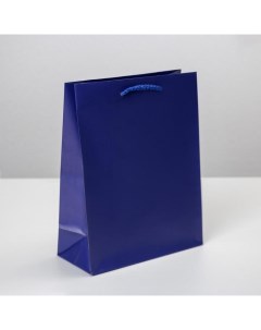 Пакет ламинированный Синий MS 18 х 23 х 8 см Доступные радости