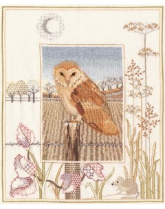 Набор для вышивания Barn Owl WIL3 Derwentwater designs