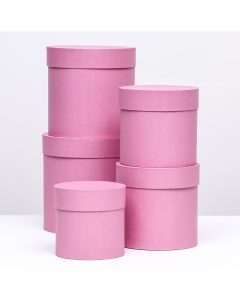 Набор шляпных коробок 5в1 розовый 20 х 20 13 х 13 см Nobrand