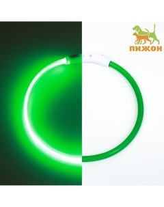 Ошейник кольцо с подсветкой зарядка от usb до 70 см 3 режима свечения зеленый Пижон