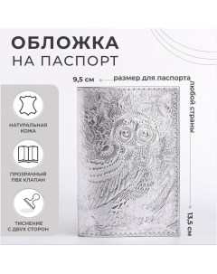 Обложка для паспорта цвет серебряный Nobrand
