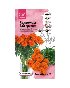 Семена цветов бархатцы Ксочи Оранж F1 Агросидстрейд