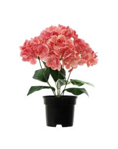 Искусственное растение в горшке гортензия h35 см цвет розовый Без бренда