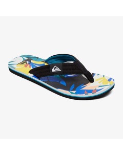 Мужские сланцы Molokai Layback Quiksilver