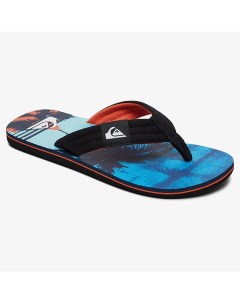 Мужские сланцы Molokai Quiksilver