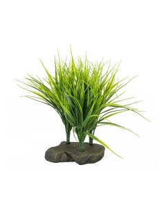 Декоративное растение для террариумов Sumatra Grass 20см Германия Lucky reptile