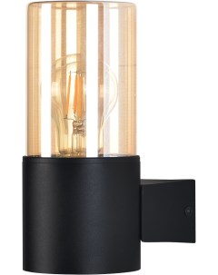 Настенный уличный светильник A6515AL 1BK Arte lamp