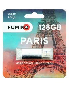 Флешка PARIS 128GB серебристый USB 2 0 Fumiko