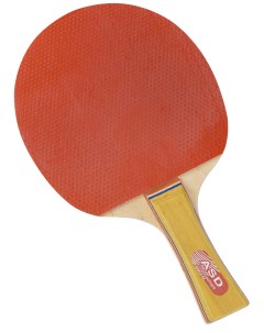 Набор для настольного тенниса An01003 Рыжий кот