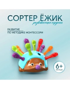 Развивающая игрушка сортер Ёжик Голубой Rasulev